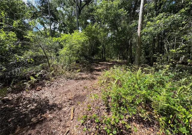 30th image of 12708 Farmettes Rd, Lakeland, FL 33809 | MLS# B4902262