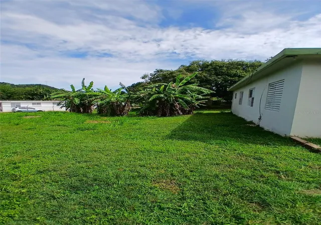 Homes for sale in Yauco, PR | 372 Sector Cotuy, Yauco, PR 00698 | MLS# PR9121511