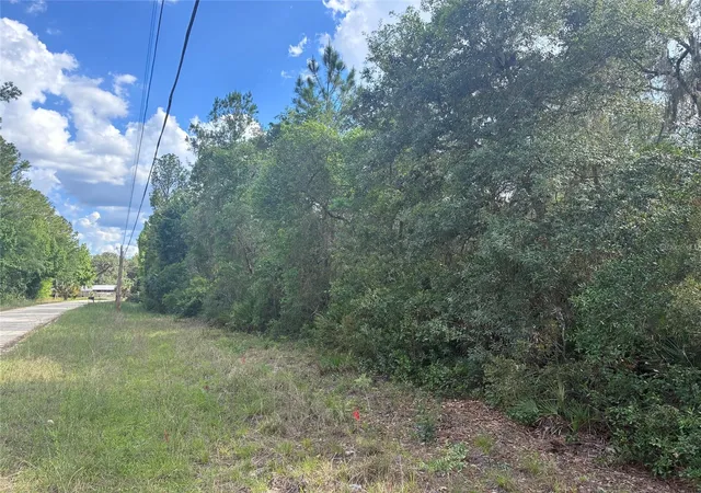 1st image of 16464 Ne 35 Rd, Citra, FL 32113 | MLS# OM725075