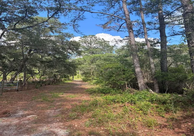 3rd image of 16464 Ne 35 Rd, Citra, FL 32113 | MLS# OM725075