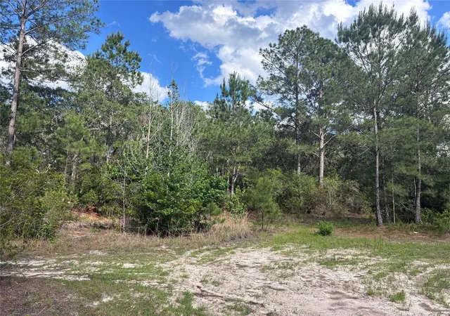 4th image of 16464 Ne 35 Rd, Citra, FL 32113 | MLS# OM725075