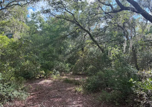5th image of 16464 Ne 35 Rd, Citra, FL 32113 | MLS# OM725075