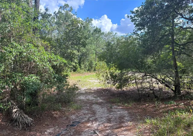 6th image of 16464 Ne 35 Rd, Citra, FL 32113 | MLS# OM725075