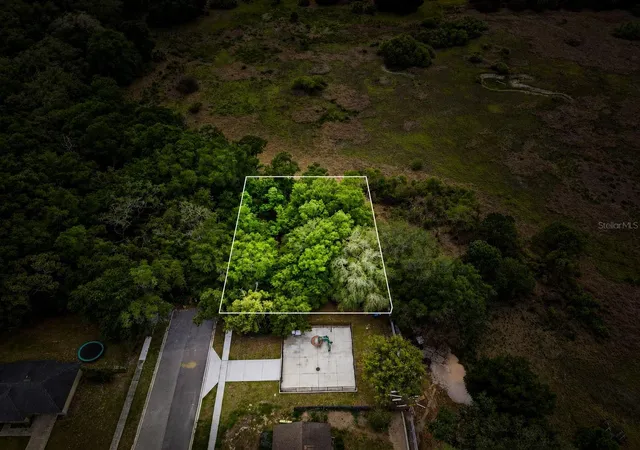 17th image of Sardina Blvd, Orlando, FL 32818 | MLS# O6409633