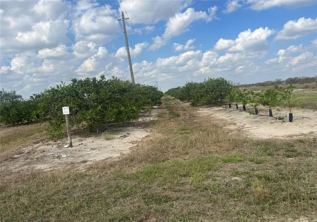 Photo 2 of Land for sale at Northeast Hwy 70, Arcadia, FL 34266 | MLS# O6409640 | Listing updated on 2026-10-01