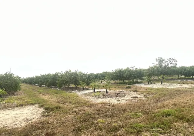 Land for sale at Northeast Hwy 70, ARCADIA, FL 34266 | MLS# O6409640