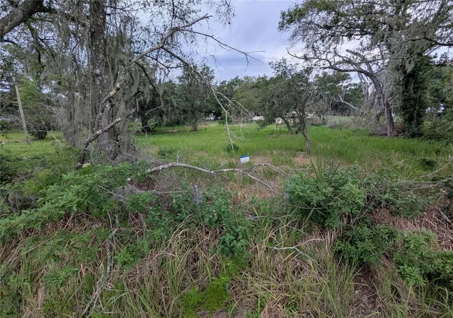 Photo 3 of Land for sale at 0 Central Ave, Mulberry, FL 33860 | MLS# O6409774 | Listing updated on 2026-10-20