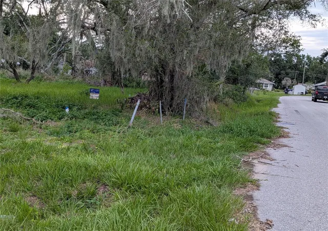 Photo 3 of Land for sale at 0 Central Ave, Mulberry, FL 33860 | MLS# O6409774 | Listing updated on 2026-10-20