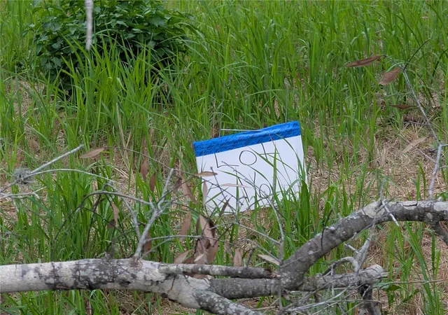 Photo 4 of Land for sale at 0 Central Ave, Mulberry, FL 33860 | MLS# O6409774 | Listing updated on 2026-10-20