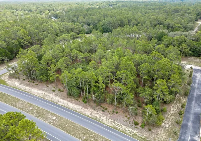 Photo 3 of Land for sale at 9787 N Citrus Springs Blvd, Citrus Springs, FL 34434 | MLS# O6409781 | Listing updated on 2026-09-11