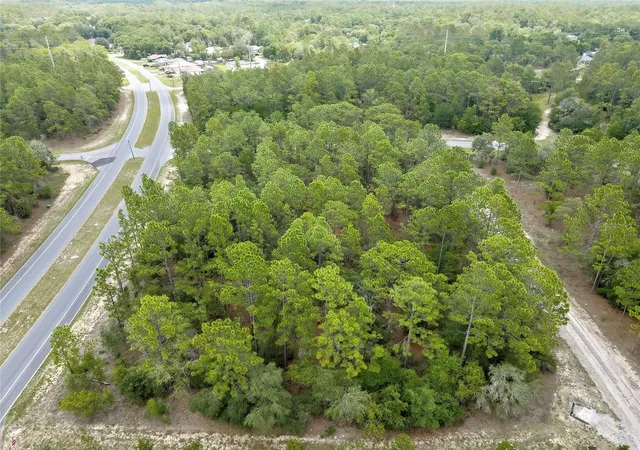Photo 4 of Land for sale at 9787 N Citrus Springs Blvd, Citrus Springs, FL 34434 | MLS# O6409781 | Listing updated on 2026-09-11