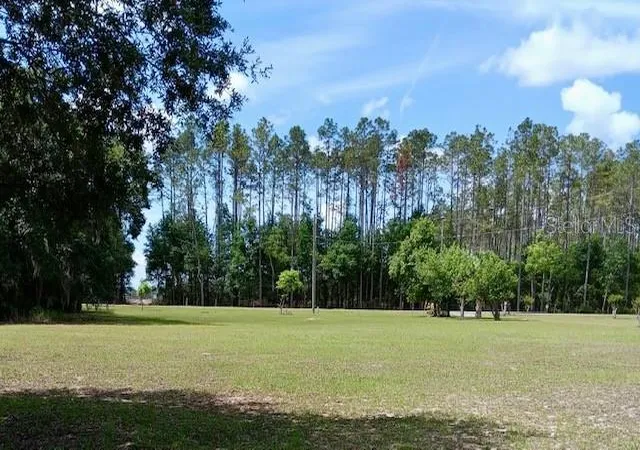 Homes for sale in Weirsdale, FL | 17749 Se 156th Pl Rd, Weirsdale, FL 32195 | MLS# N6144440