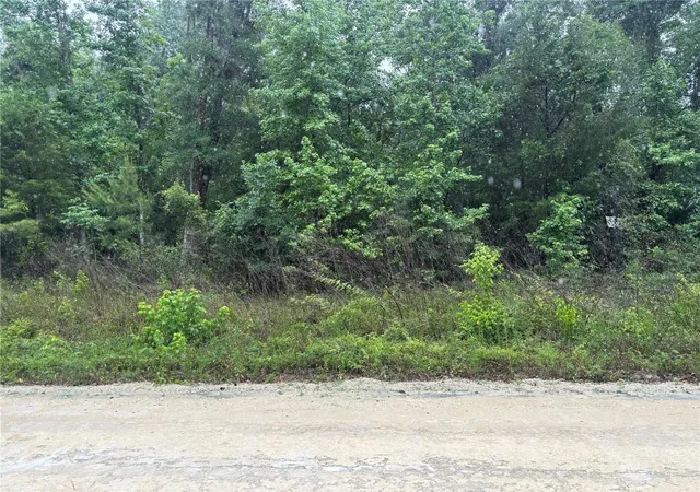 1st image of 0000 Sw 7th Ln, Ocala, FL 34481 | MLS# OM725183