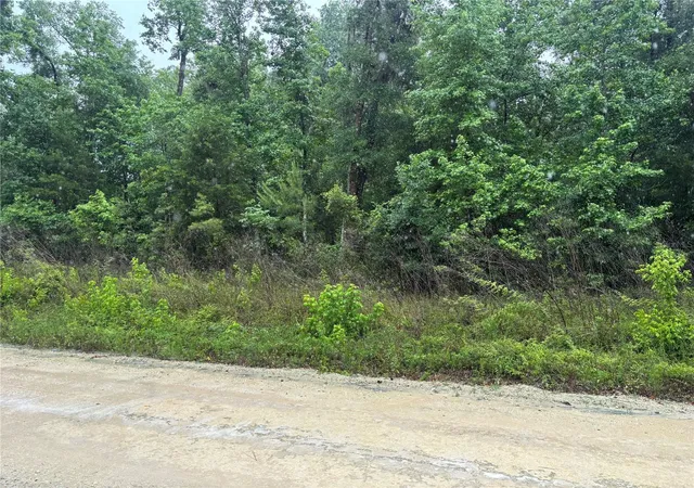 4th image of 0000 Sw 7th Ln, Ocala, FL 34481 | MLS# OM725183