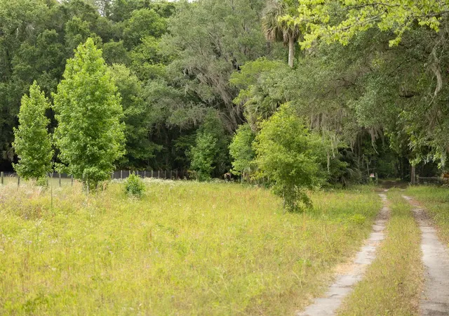 4th image of 18833 Ne 24Th Ave, Citra, FL 32113 | MLS# OM725201