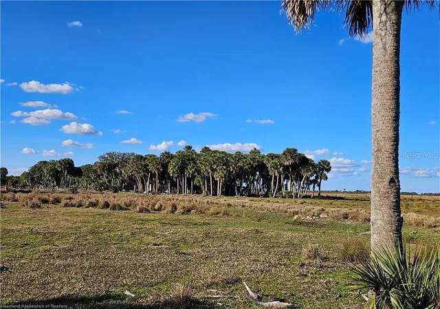 3rd image of 320 Grigsby Rd, Venus, FL 33960 | MLS# L4962106