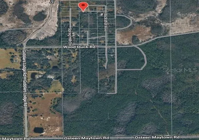 Photo 2 of Land for sale at 574 Thistle Hl Dr, Osteen, FL 32764 | MLS# O6409998 | Listing updated on 2026-09-30