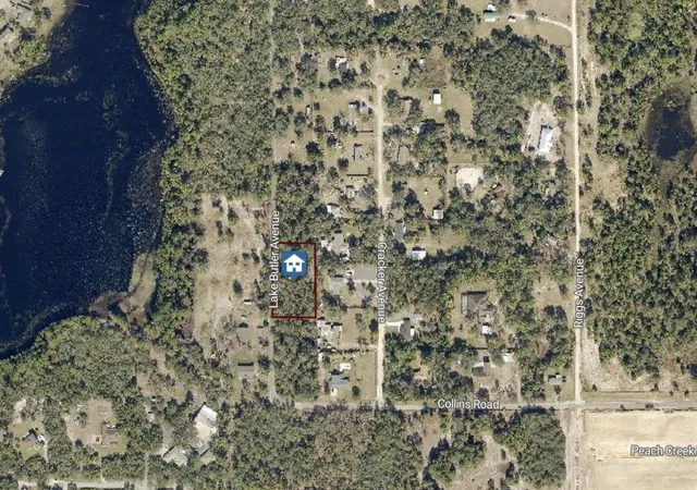 Homes for sale in Osteen, FL | 615 Lake Butler Ave, Osteen, FL 32764 | MLS# V4949226