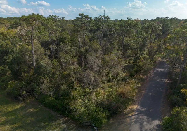 Homes for sale in Osteen, FL | 615 Lake Butler Ave, Osteen, FL 32764 | MLS# V4949226