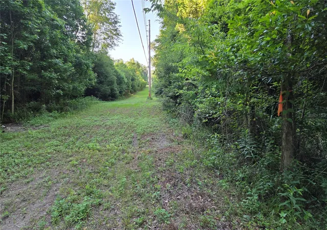 Photo 1 of Land for sale at 15929 Nw 135th Terrace, Alachua, FL 32615 | MLS# GC540535 | Listing updated on 2026-05-22