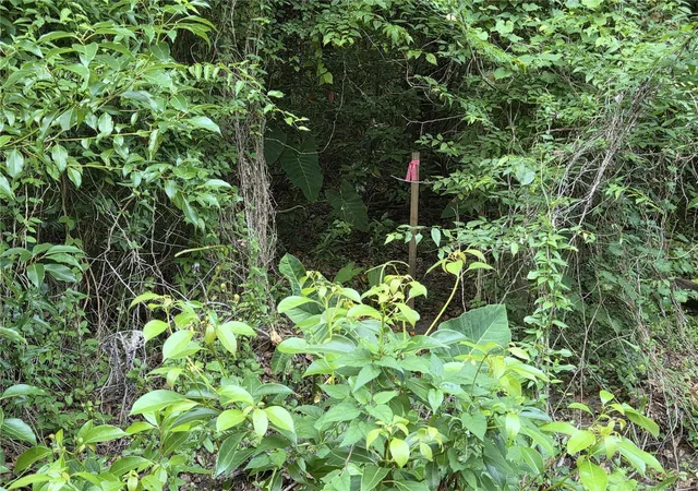 Photo 3 of Land for sale at 15929 Nw 135th Terrace, Alachua, FL 32615 | MLS# GC540535 | Listing updated on 2026-05-22