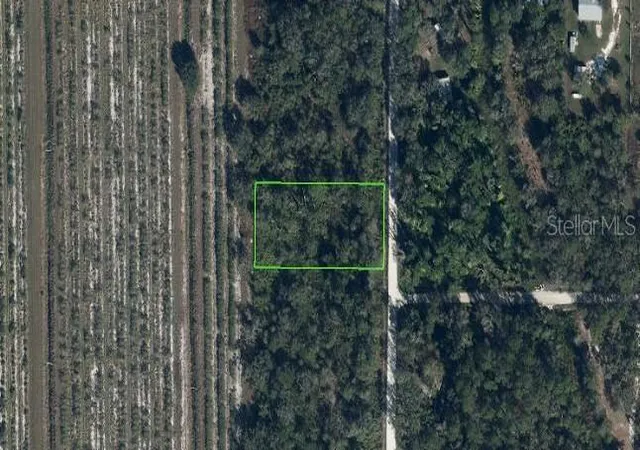 Homes for sale in Venus, FL | 486 Kulwicki Dr, Venus, FL 33960 | MLS# L4962117