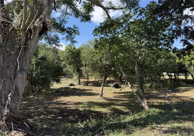 4th image of 521 E Clay Ave, Brandon, FL 33510 | MLS# TB8511287