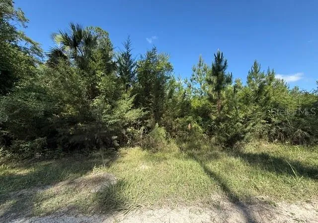 Land for sale at County Rd 75, Bunnell, FL 32110 | MLS# FC318743 | Listing updated on 2026-09-13
