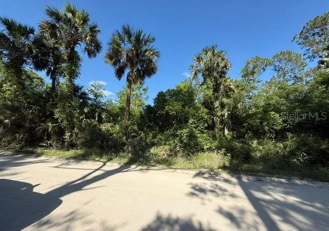 Photo 1 of Land for sale at County Rd 75, Bunnell, FL 32110 | MLS# FC318743 | Listing updated on 2026-09-13