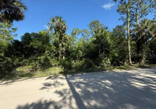 Photo 2 of Land for sale at County Rd 75, Bunnell, FL 32110 | MLS# FC318743 | Listing updated on 2026-09-13