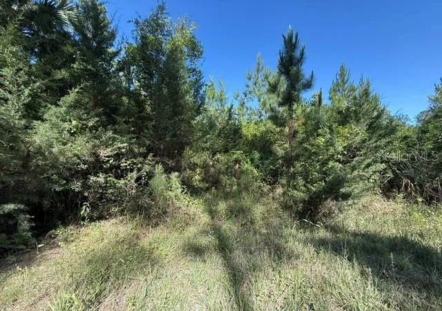 Photo 3 of Land for sale at County Rd 75, Bunnell, FL 32110 | MLS# FC318743 | Listing updated on 2026-09-13