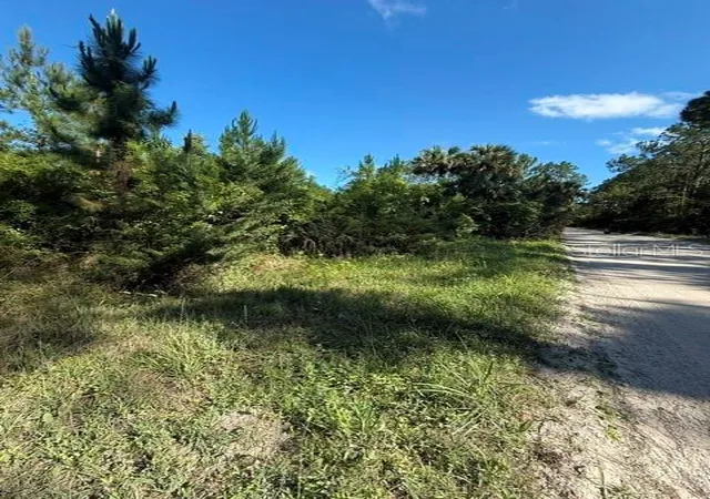 Photo 4 of Land for sale at County Rd 75, Bunnell, FL 32110 | MLS# FC318743 | Listing updated on 2026-09-13