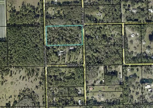 Photo 10 of Land for sale at County Rd 75, Bunnell, FL 32110 | MLS# FC318743 | Listing updated on 2026-09-13
