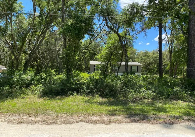 Homes for sale in Webster, FL | 36064 Butternut Dr, Webster, FL 33597 | MLS# TB8511523