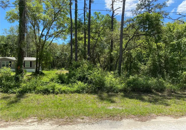 Homes for sale in Webster, FL | 36064 Butternut Dr, Webster, FL 33597 | MLS# TB8511523