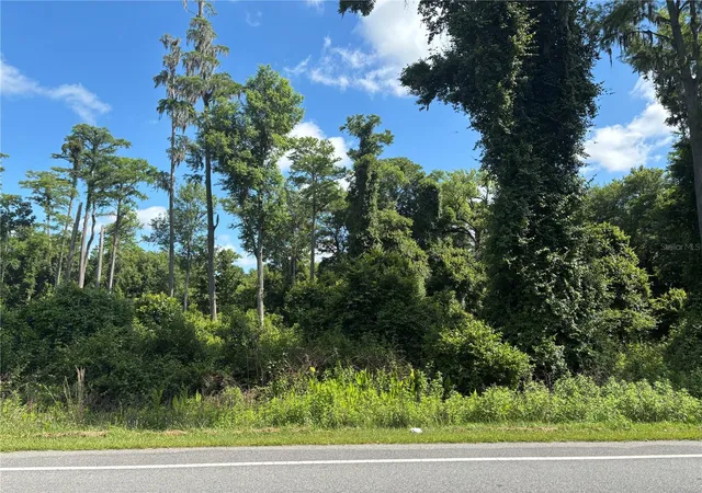 Homes for sale in Bunnell, FL | 5014 Mahogany Blvd, Bunnell, FL 32110 | MLS# FC318748