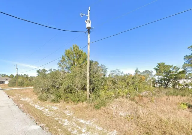 Homes for sale in Kissimmee, FL | 611 Alafia Pl, Kissimmee, FL 34759 | MLS# O6410318