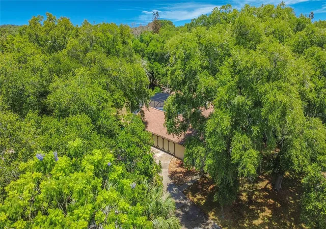 5th image of 420 Nina Rd Ne, Palm Bay, FL 32907 | MLS# O6410321