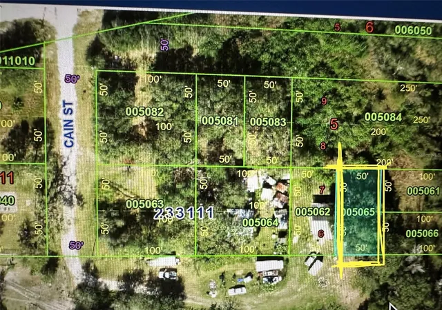 Homes for sale in Mulberry, FL | 0 Cain St, Mulberry, FL 33860 | MLS# S5150496