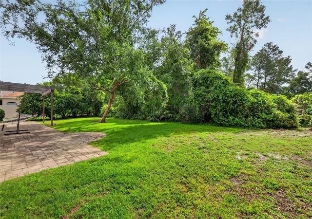 40th image of 9041 Laurel Ridge Dr, Mount Dora, FL 32757 | MLS# O6410650