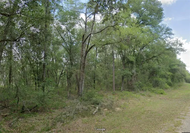 Photo 1 of Land for sale at 719 E Byrd Loop, Dunnellon, FL 34434 | MLS# OM725338 | Listing updated on 2026-08-07