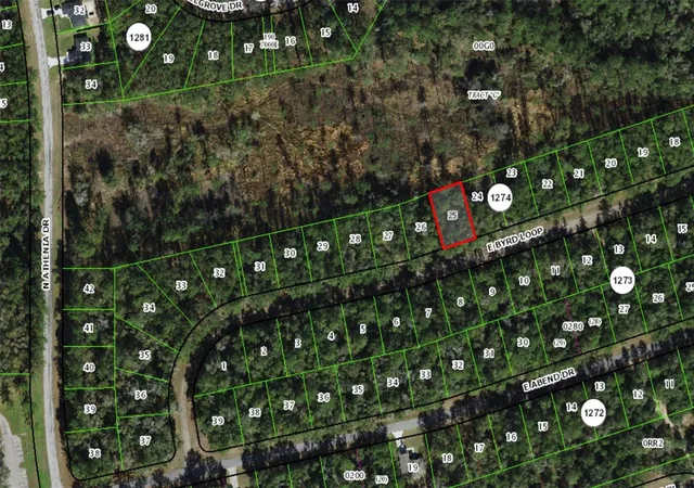 Photo 4 of Land for sale at 719 E Byrd Loop, Dunnellon, FL 34434 | MLS# OM725338 | Listing updated on 2026-08-07
