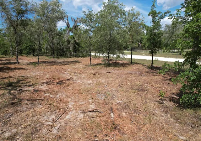 Homes for sale in Morriston, FL | Se 53rd Ln, Morriston, FL 32668 | MLS# O6410694