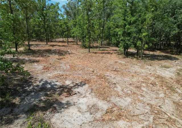 Homes for sale in Morriston, FL | Se 53rd Ln, Morriston, FL 32668 | MLS# O6410694