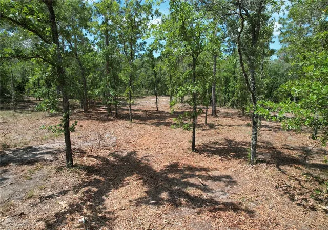 Homes for sale in Morriston, FL | Se 53Rd Ln, Morriston, FL 32668 | MLS# O6410694