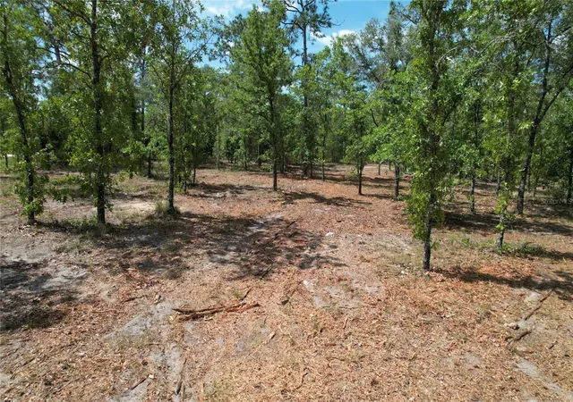 Homes for sale in Morriston, FL | Se 53Rd Ln, Morriston, FL 32668 | MLS# O6410694