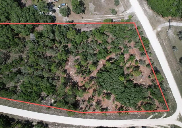 Homes for sale in Morriston, FL | Se 53rd Ln, Morriston, FL 32668 | MLS# O6410694