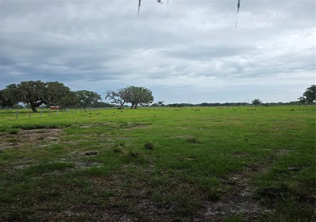 1st image of Vernon Dairy, Spring Hill, FL 34610 | MLS# TB8512073