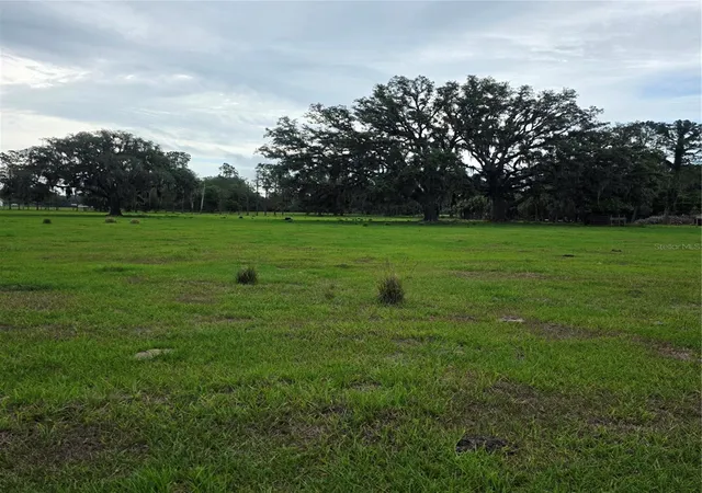 2nd image of Vernon Dairy, Spring Hill, FL 34610 | MLS# TB8512073