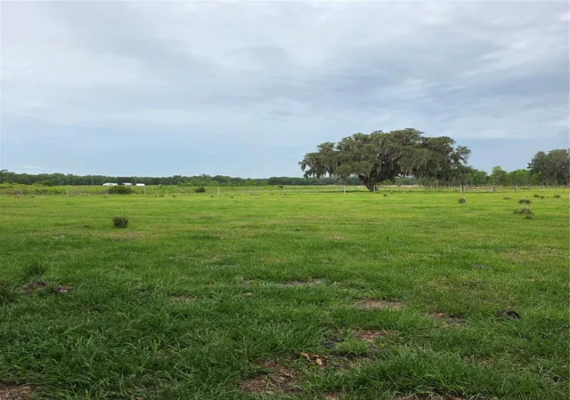 3rd image of Vernon Dairy, Spring Hill, FL 34610 | MLS# TB8512073